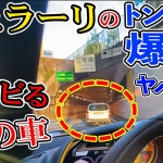 Thumbnail of post image 009